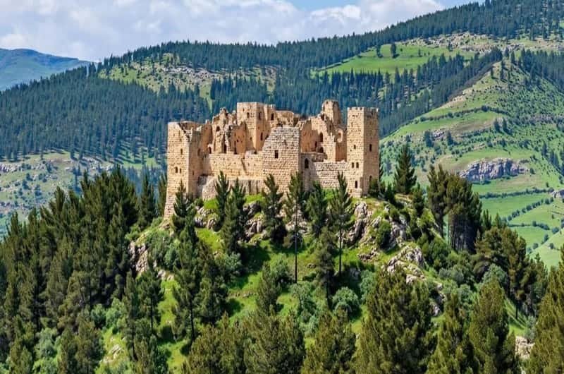عجلون تستقبل 27 حافلة ضمن برنامج أردننا جنة